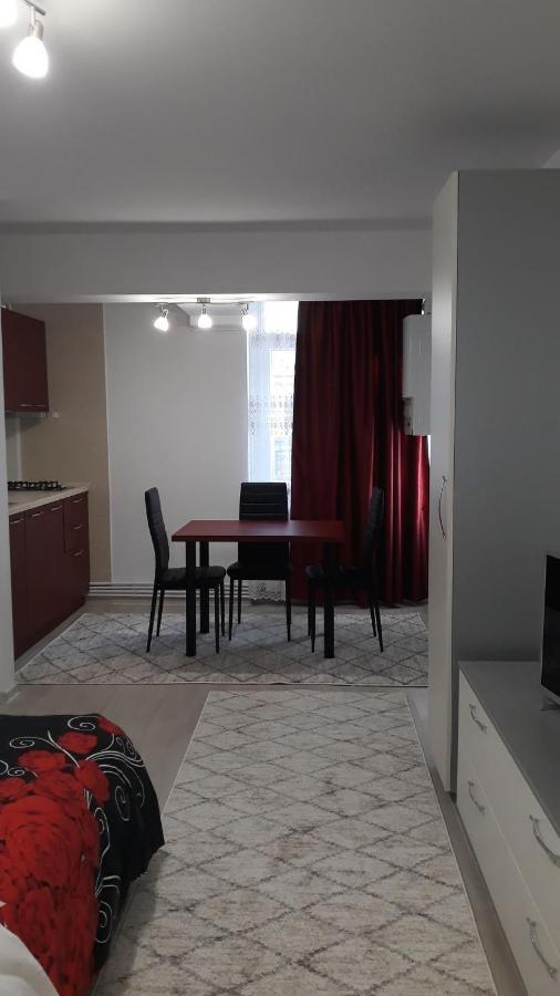 Irvin Apartament Iasi Exterior foto